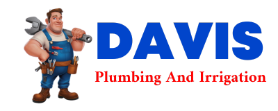 Trusted plumber in MACDONA